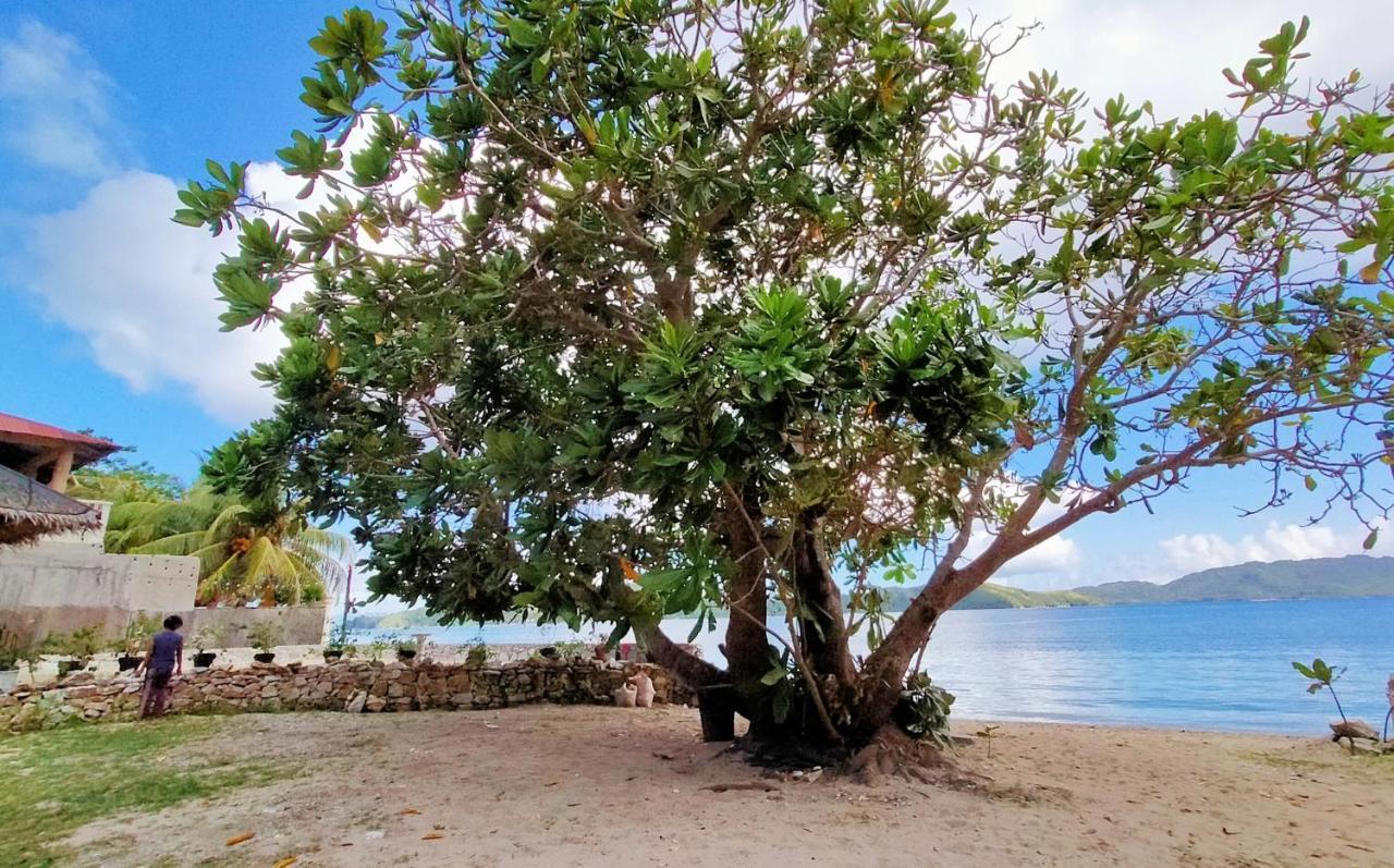 Sea U Inn Romblon Exteriér fotografie